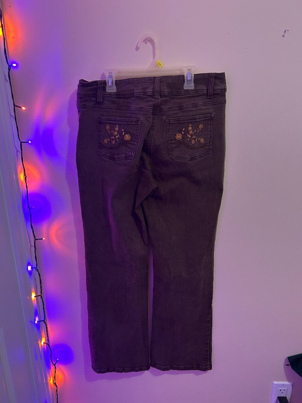 Embroidered Brown Jeans with Flowers